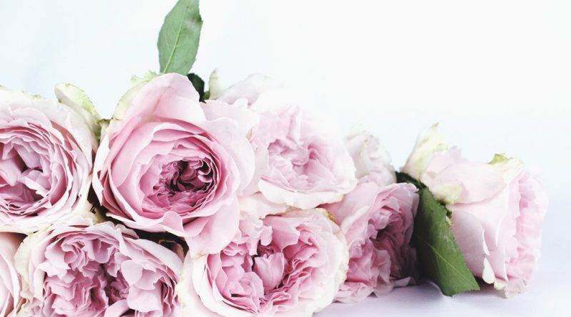 pink-petaled-flower-boquette-122734-800x445