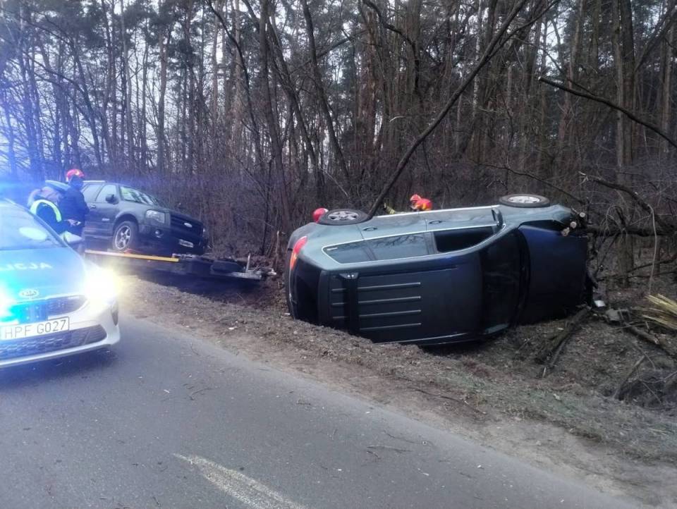 Roztrzaskane auta i dachowanie w rowie, a wszystko przez... łosia! [Foto]